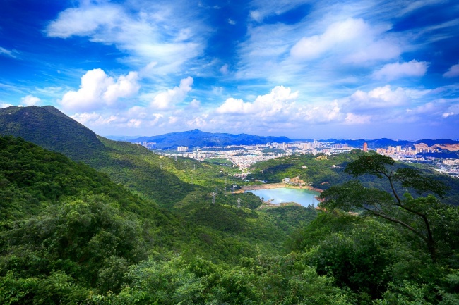 以案为鉴,拷问责任:别再漠视观音山的生态之殇